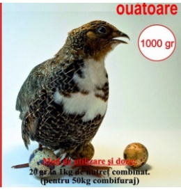 Premix Prepelițe 2% 1000gr